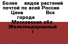 Более200 видов растений почтой по всей России › Цена ­ 100-500 - Все города  »    . Московская обл.,Железнодорожный г.